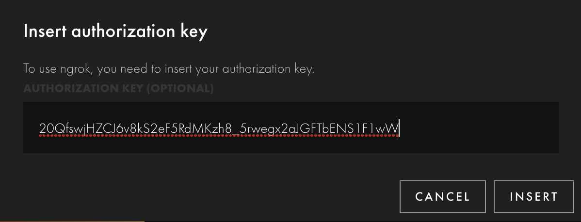 Insert Authorization Key dialog for ngrok settings